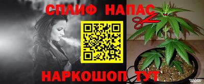 СК Лесосибирск